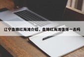 辽宁盘锦红海滩介绍，盘锦红海滩值得一去吗