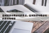 盐城旅游攻略必玩的景点，盐城旅游攻略必玩的景点有哪些