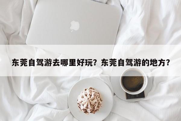 东莞自驾游去哪里好玩？东莞自驾游的地方？  第1张