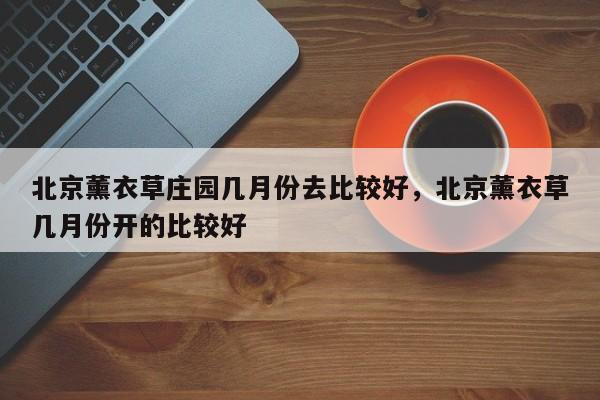 北京薰衣草庄园几月份去比较好，北京薰衣草几月份开的比较好  第1张