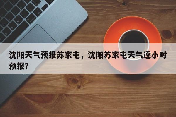 沈阳天气预报苏家屯，沈阳苏家屯天气逐小时预报？  第1张